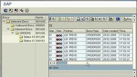 SAP FI CO SD WE02 Display IDOCS