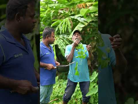 ASMR: スパイシーな麺の音 vs. 新鮮なキュウリの歯ごたえ！🍜🥒