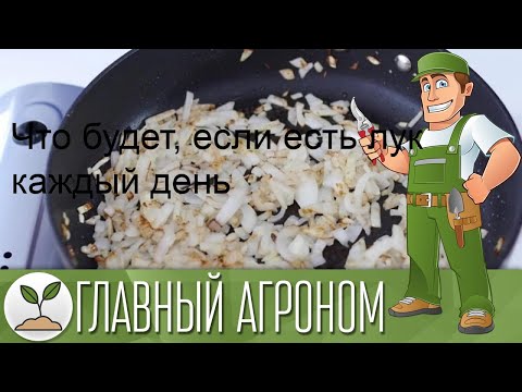 Что будет, если есть лук каждый день