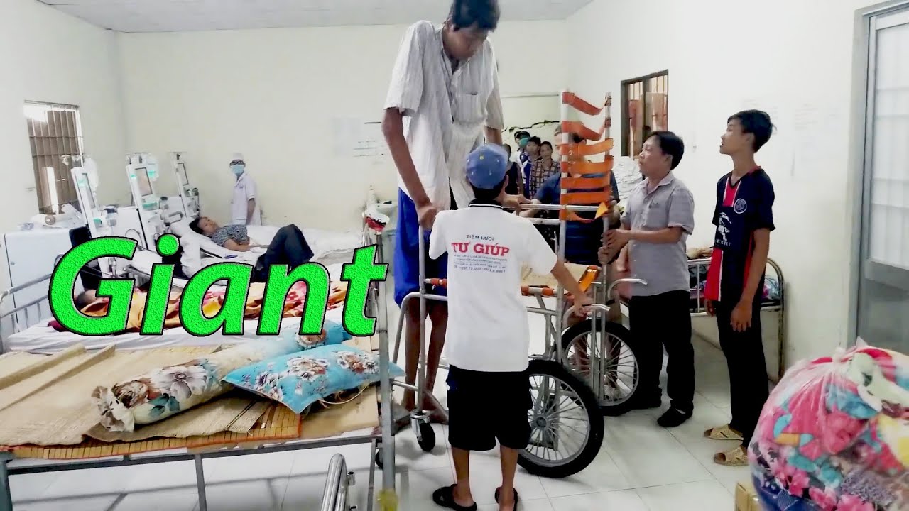 td height  New  The story of a Vietnamese with a height of 2m 75cm/The tallest