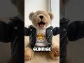 Rock this Day with Rockstar Teddy - Part 1 Motivation