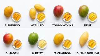 Every Type of Mangoes Explained
