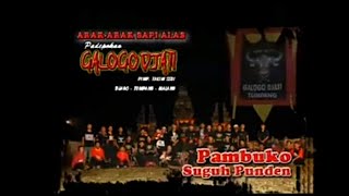 Bantengan 1 galogo djati | pambuko & suguh
