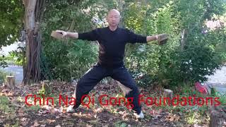 Unlock the Ancient Secrets of Chin Na Qi Gong: Master the Foundations with Ease! 擒拿和气功的基本功