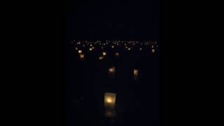 Celebration of lights at Crestlawn Cemetery