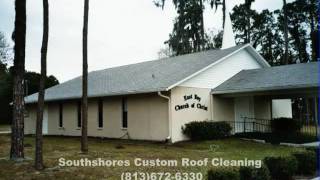 Valrico Lithia Southshores Roof Cleaning 672-6330