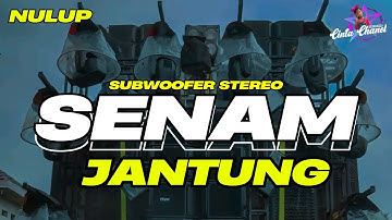 DJ TRAP CEK SOUND MIDDLE NULUP ‼️STYLE BASS HOREG || SUBWOFER STEREO BIKIN SENAM JANTUNG !!