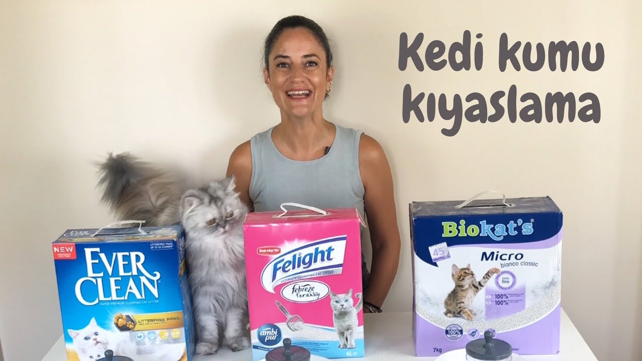 En Iyi Kedi Kumu Hangisi En Kaliteli Kumlari Kiyasladim Izlemeden Kedi Kumu Almayin Youtube