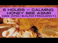8 hours  bee hive buzzing asmr black screen  bee wing healing frequency