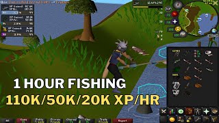 Osrs 1 Hour Of 3 Tick Cutfletch Fishing 110K50K20K Xphr