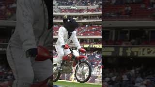 toro mascot Houston Texans hulk