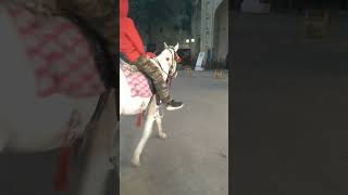 Lahore Food Street.....badshahi Masjid.....shahi Qila🕌