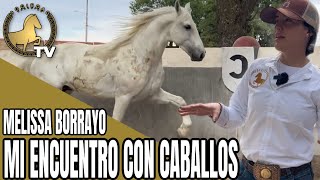 SOCIALIZACIÓN DE CABALLOS ENTEROS.  Hoy con Melissa Borrayo “MI ENCUENTRO CON CABALLOS”