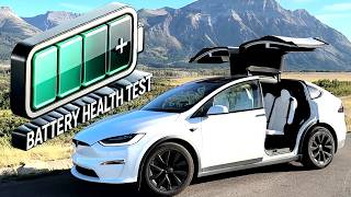 How to Test the Battery Health of Your Tesla! Did my battery get damaged when I drove it below 0%?