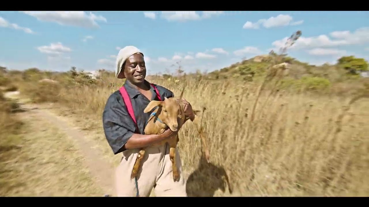 Baba Harare   Tsamba Yerufu Official Video