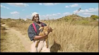 Baba Harare - Tsamba Yerufu { Video}