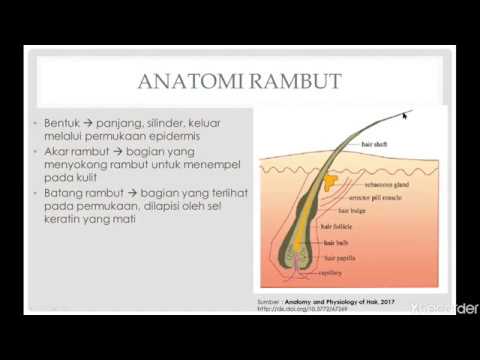 Video: Rambut Di Hujung: Makna, Asal Unit Frasaologi