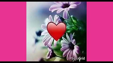 حالات واتس دينية ❤ أذكار المساء ❤ بصوت مريح جدا