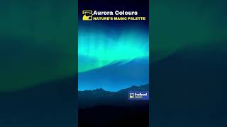 Download Lagu Aurora Colours MP3 Download Lagu Aurora Colours MP3