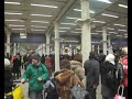 Eurostar Chaos!