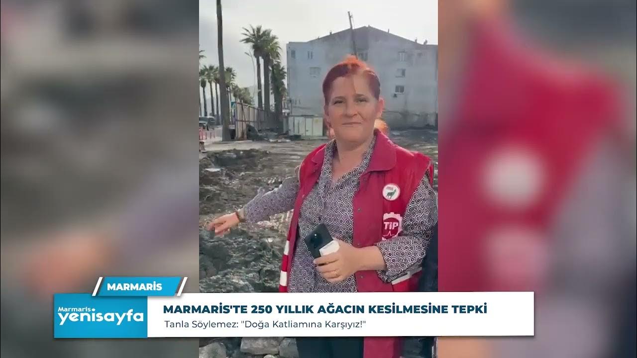 MARMARİS'TE 250 YILLIK AĞACIN KESİLMESİNE TEPKİ