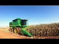 Inicio da colheita de milho safrinha 2021 no Paraná.