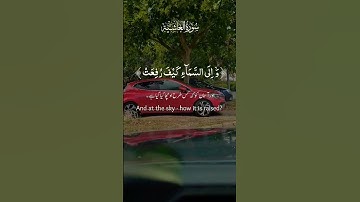 تلاوة هادئه ومريحة جدا 🤍🍁#راحة_نفسية #ارح_قلبك #quran #القرآن #قران_كريم #song #تلاوة_خاشعة #راحة