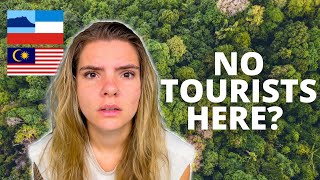 I hiked across the virgin rainforest of Borneo??