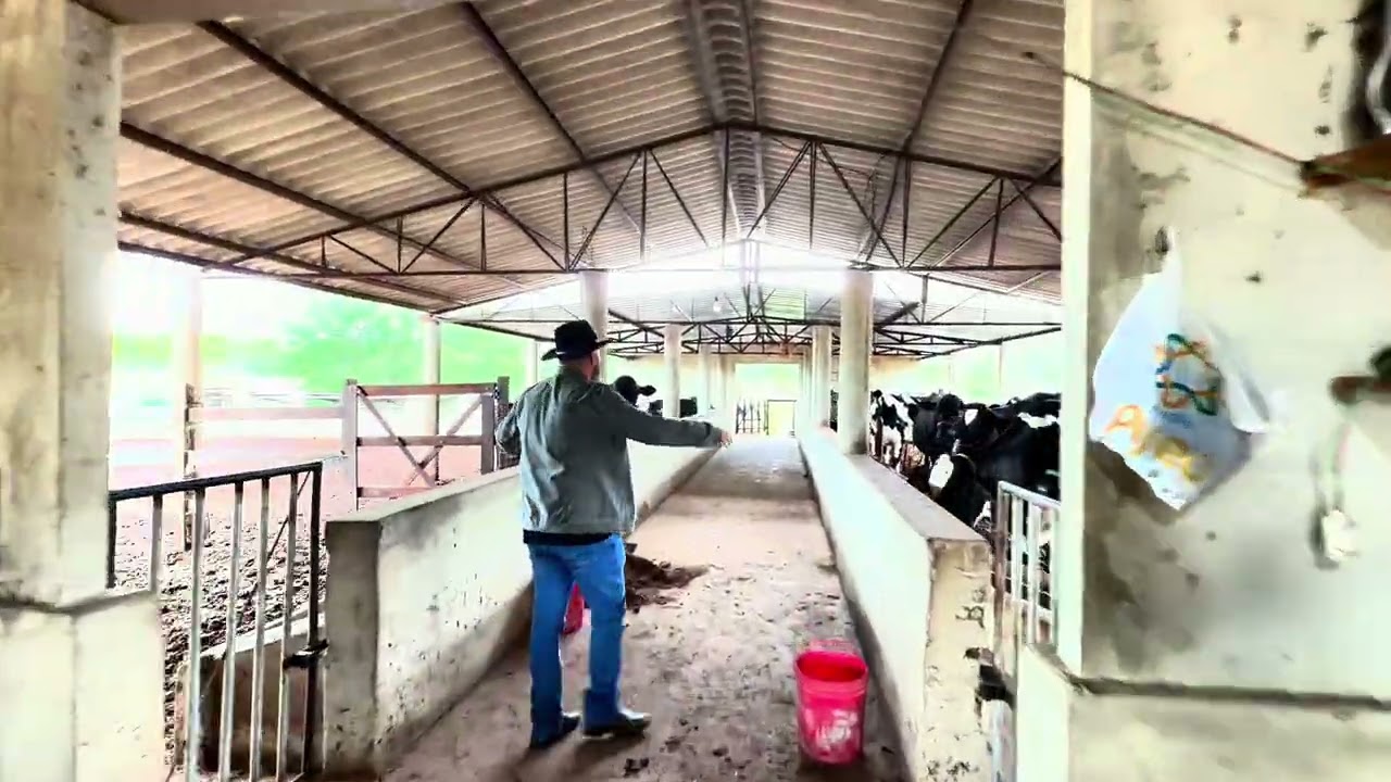 Fazenda Nossa Senhora de Fátima em Itapetim-PE