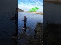 porfiandole a los pejes 🤣 #pesca #chileflyfishing #fishing #surdechile #pejerrey