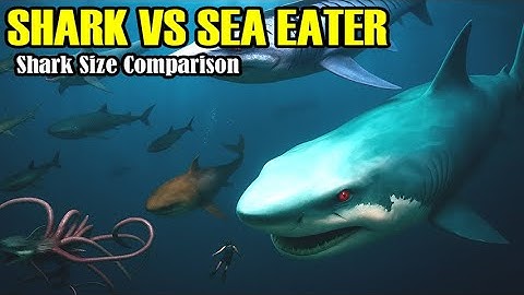 Shark Size Comparison – Terrifying Real, Extinct & Monster Sharks You Won’t Believe Exist