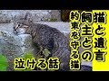 あの世遺言 感動 泣ける話・全ての飼主さんに見てほしい動画-死んだ飼主との約束を頑なに守る猫 ・招き猫ちゃんねる
