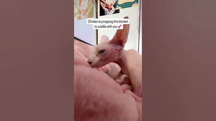 Watch the video about POV