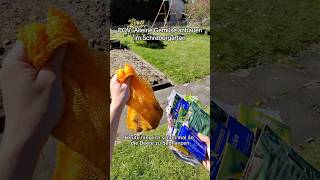 Baut ihr auch eigenes Gemüse an? #pov #allein #gemüse #ga...