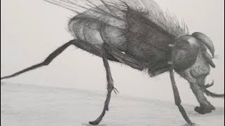 Free Si̇nekler Soğukta Salak No1 Type Beat