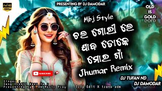 Chal Gori Le Jabo Toke Mor Gaon Dj Tufan New Jhumar Dj Song 2025