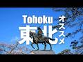Have Fun in Tohoku Pass 1 Week Free Pass - Choose Any 3 Attractions for Trip!