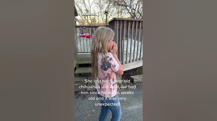 Little Girl Cries Happy Tears After Meeting New Puppy! - DayDayNews
