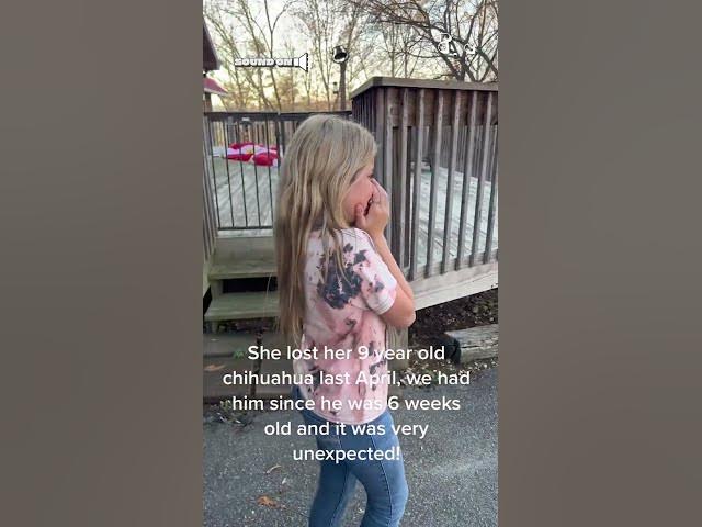 Little Girl Cries Happy Tears After Meeting New Puppy!