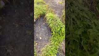 A Hike In The Austrian Alps