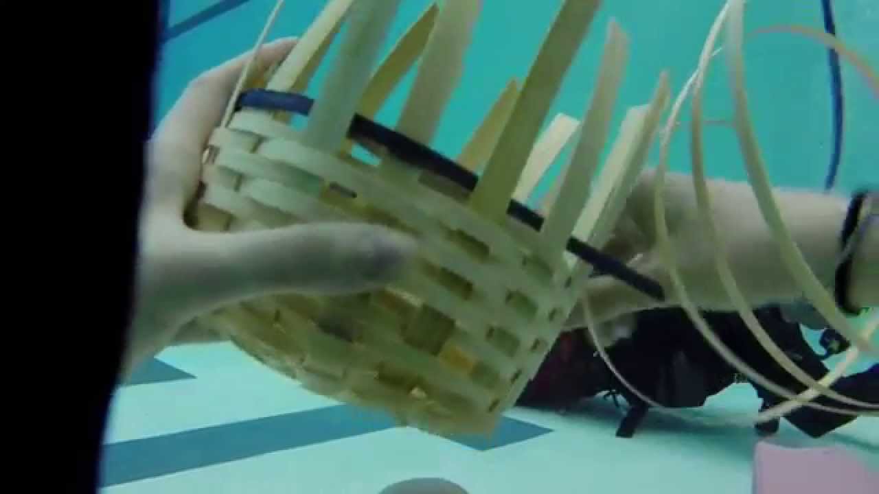 Image result for underwater basket weaving