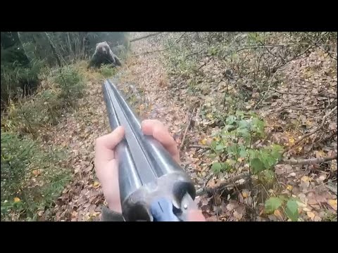 💥 Встреча с МЕДВЕДЕМ в лесу... ( bear attacks russian man )