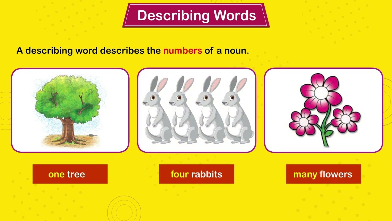 Bubble English Grammar Class 1 Chapter 11 Describing Words