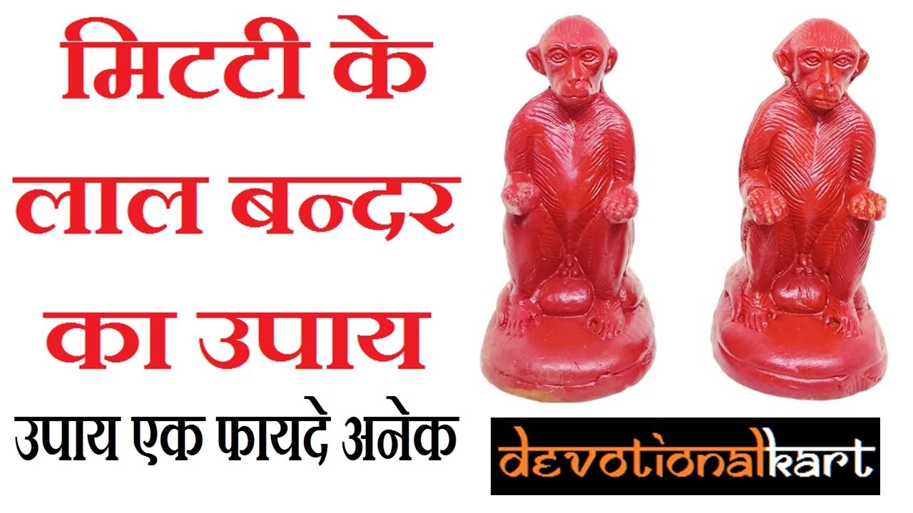 Lal Kitab Vastu Red Begging Monkey Statue Benefits and How to Use in