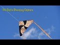 Delta dazzling colours by hq kites