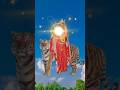 जय माता दी जय माता रानी 👣 नवरात्रि स्पेशल 🙏 #shorts #shortvideo #status #viralshorts #bhakti #durga