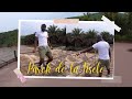 KINSHASA VLOG Part 4 - Visiting Parc de la Nsele in Kinshasa, Congo Vlog ☺️