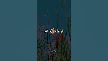 قُل لَّن يُصِيبَنَا إِلَّا مَا كَتَبَ اللَّهُ لَنَا || سورة التوبة || علي جابر