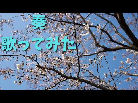 【2周年記念】スキマスイッチさんの奏を歌ってみました