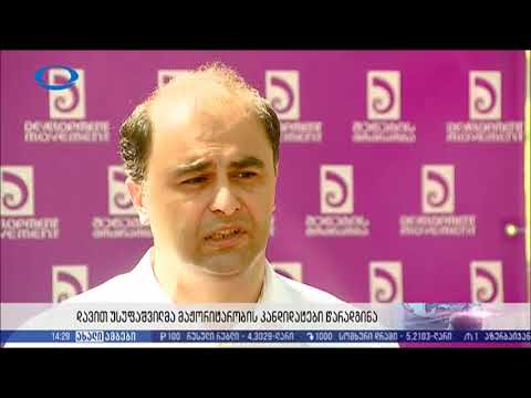 გიორგი ეპიტაშვილის წარდგენა, ჩუღურეთის მაჟორიტარობის კანდიდატად